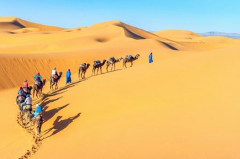 Overland tours and expeditions to Tunisia